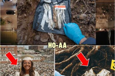 She Vanished After Graduation in 1981—25 Years Later, Her Cap & Gown Were Found Buried at Her School