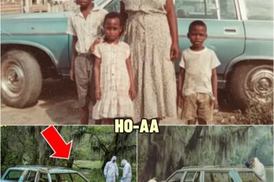 A Black Mother & 3 Kids Vanished in 1980 — 26 Years Later Their Car Was Pulled from a Swam