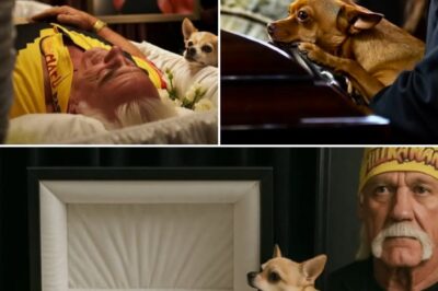 Final Farewell to a Legend: Hulk Hogan Laid to Rest, Loyal Chihuahua Offers Silent Tribute That Leaves Mourners in Tears