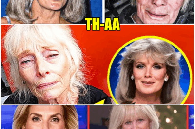 What Happened to Linda Evans At 82– Try Not to CRY When You See This