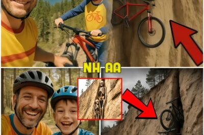 They Vanished Mountain Biking at Lake Tahoe, 5 Years Later This Is Found on 160ft Cliff…