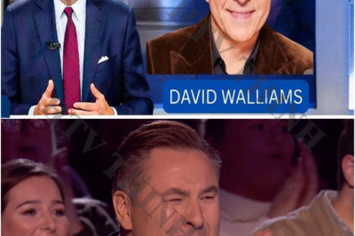 David Walliams From Britain’s Got Talent was Sentenced, Goodbye Forever