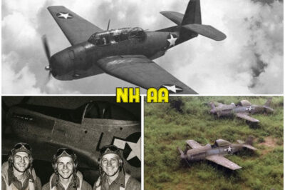 3 Fighter Pilots Vanished In 1944 — 75 Years Later, Their Planes Were Found Almost Intact…