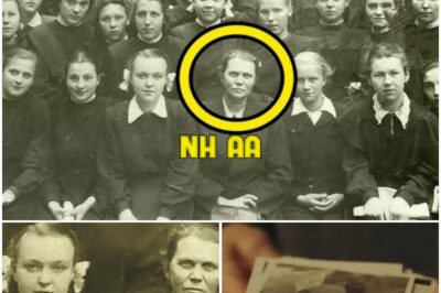 Experts Spot Something Disturbing in 1950s Photo, Zooming They Get The Fright Of Their Lives!