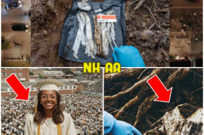 She Vanished After Graduation in 1981—25 Years Later, Her Cap & Gown Were Found Buried at Her School