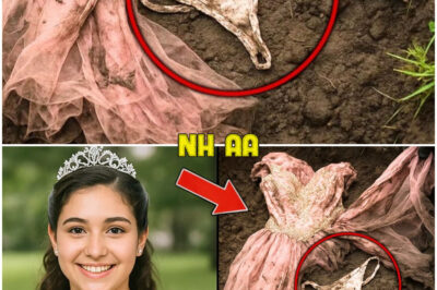 2017, Boston: Gas Station Owner’s Daughter Vanished at 15th Birthday — 6 Years Later THIS Was Found