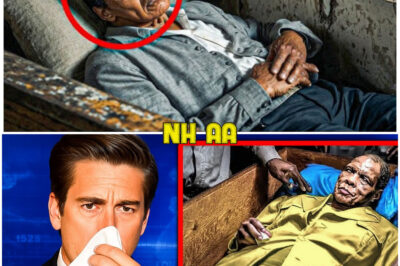 Muhammad Ali’s Tomb Opened After 9 Years And Scientists Are Shocked!