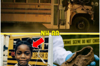 She Was Last Seen on the School Bus in 1982 — 15 Years Later the Driver Confessed a Secret