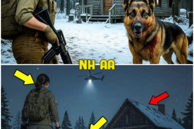 Injured Dog Leads Female Veteran to a Remote Forest Cabin—What She Finds Inside Is Shocking
