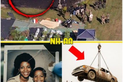 A Mother and Son Vanished in 1980 — 45 Years Later Their Car Was Found at the Bottom of a Lake