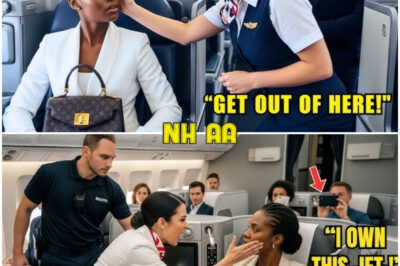 Flight Attendant Slapped a Black CEO on Her Own Jet – 10 Minutes Later, She Fires His Entire Team