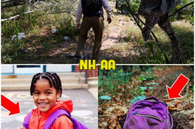 She Vanished on Her Way to School — A Year Later, They Found Her Backpack Buried in the Woods