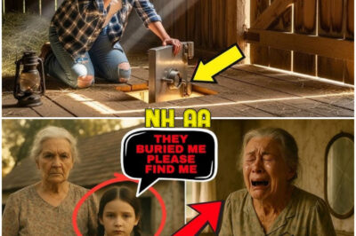 Girl Vanished from Her Grandmother’s Farmhouse in 1990 — What Was Under the Floor Still Moves…