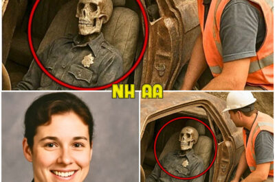 Female Patrol Officer Disappeared in 1991 — 13 Years Later, Worker Found This…