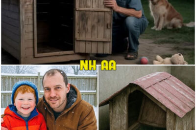 Boy Vanished While Playing Outside, 8 Years Later Dad Looks Under Neighbor’s Dog Kennel…