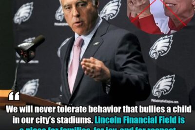 Eagles Owner Jeffrey Lurie Bans Woman From Lincoln Financial Field After Viral Ball Snatching Incident