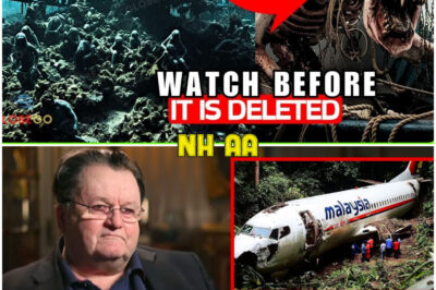 “I Found Out Where MH370 REALLY Is And I Brought Proof” Richard Godfrey Leaves World STUNNED