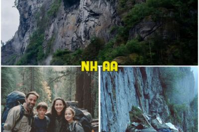 Family of 4 Vanished Hiking in Poland in 1998 — 23 Years Later, Climbers Find Something Terrifying