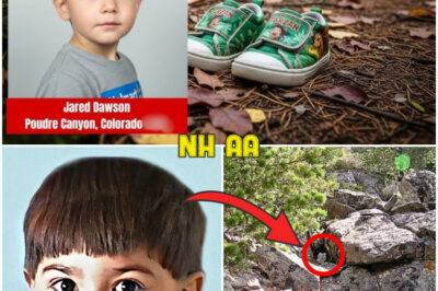 Boy Vanished on a Hiking Trip, 4 Years Later What Was Found Still Shocks Investigators to This Day…