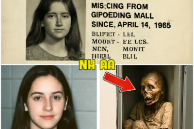 Girl Vanished at a Shopping Mall in 1995 — 12 Years Later Security Finds This…