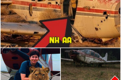 Woman Vanished While Flying in 1988 — 20 Years Later, Investigators Found Something Terrifying…