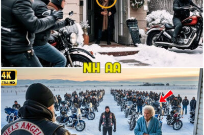 Kind Old Lady Shelters 15 Hells Angels During a Snowstorm — Next Day 100 Bikes Line Up at Her Door