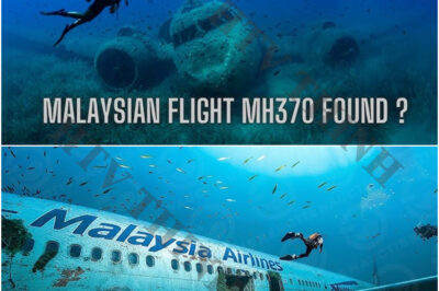 UPDATE! “I Found Out Where MH370 REALLY Is And I Brought Proof” Richard Godfrey Leaves World STUNNED