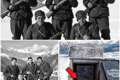 4 Infantrymen Vanished In 1941 — 75 Years Later, Their Shelter Was Found Intact In The Mountains..