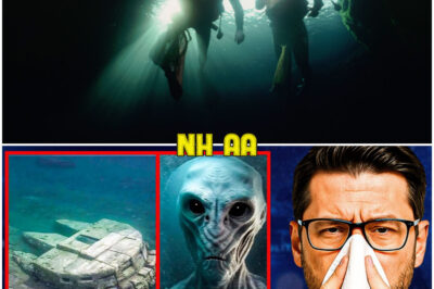 Experts Finally Solved the Baltic Sea Anomaly Mystery… And It’s Worse Than We Thought