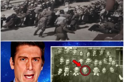 This Mysterious Nazi Era Photo Reveals A Chilling Secret That Will Shock The World!