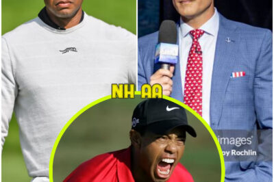 “BEATEN BEATEN – PAY NOW!” – Tiger Woods sues Pete Hegseth and Network for $50 MILLION after shocking direct attack. No one expected it.