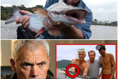 At 69, Jeremy Wade FINALLY Reveals Why River Monsters Was Canceled — And It’s Shocking