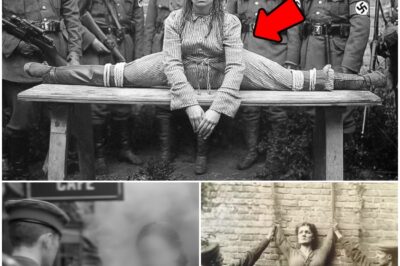 Nazi Soldiers Caught On Camera Capturing Woman – 80 Years Later, Experts Zoom In & Turn Pale