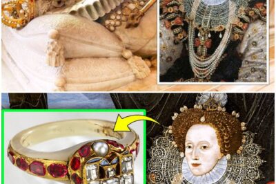 DNA Analysis FINALLY Solved The Mystery of Elizabeth I’s Death… And It’s Not What You Think