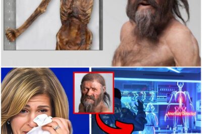 Scientists Sequenced Ötzi The Iceman’s DNA Ancestry And What Was Found Shocked The World!