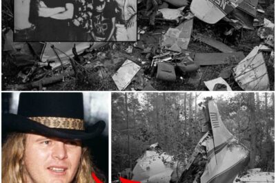 The Lynyrd Skynyrd Mystery Finally Solved And Isn’t Good