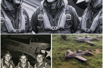 3 Fighter Pilots Vanished In 1944 — 75 Years Later, Their Planes Were Found Almost Intact…