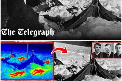 “Russia’s Greatest Mystery Finally Solved By AI — Dyatlov Pass Was Far Worse Than We Thought”