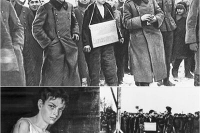 BEFORE THE GALLOWS, A LEGEND WAS BORN: The Beautiful 18-Year-Old Heroine Who Pointed at the Nazi Faces and Uttered a Prophecy That Would Echo Through Millennia