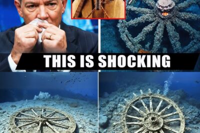 “SHOCKING: Divers Unearth Pharaoh’s Chariot Wheels in the Red Sea – Could a Millennia-Old Mystery Finally Be Solved?”