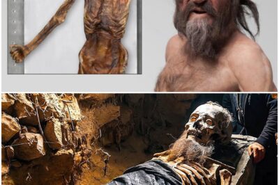 Scientists Sequenced Ötzi The Iceman’s DNA Ancestry And What Was Found Shocked The World!