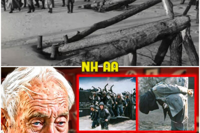 I Can’t Stay Quiet Anymore! A Former SS Member Reveals the Horror They Saw on D-Day