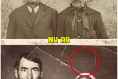 Elderly Couple Poses For Photo – 115 Years Later, Researchers Zoom In And Are Left Stunned!