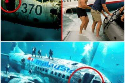 Scientists Terrifying New Discovery Of Malaysian Flight 370 Rewrites History