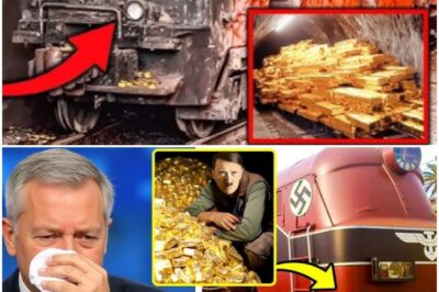 The Nazi Gold Train Was Real… And It Was Worse Than We Thought