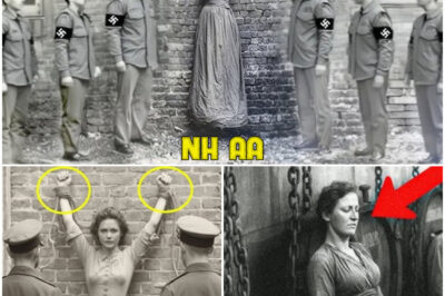 Nazi Soldiers Caught On Camera Capturing Woman – 80 Years Later, Experts Zoom In & Turn Pale