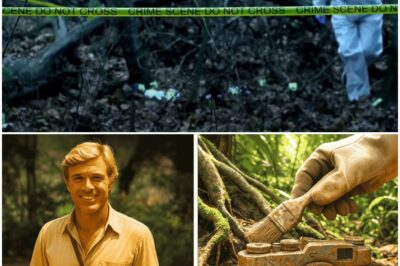 Hollywood Actor Vanished in Cambodia — 40 Years Later, His Camera Was Found Buried in the Jungle
