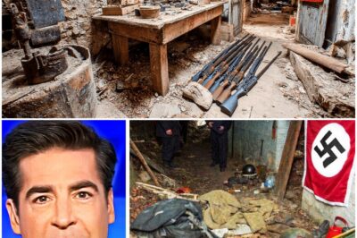 Lost WWII Bunker Finally Discovered, Experts Turn Pale When Seeing What’s Inside