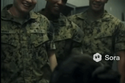 The soldiers began laughing at the girl’s scars