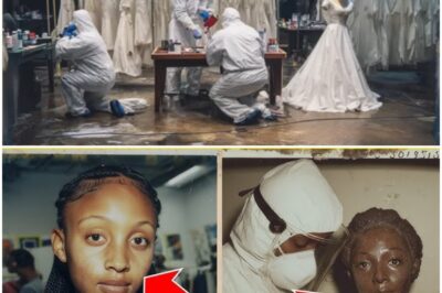 A Modelling Agency Kept a “Mannequin” for 20 Years — A Janitor Discovered It Was a “Long-Lost” Model